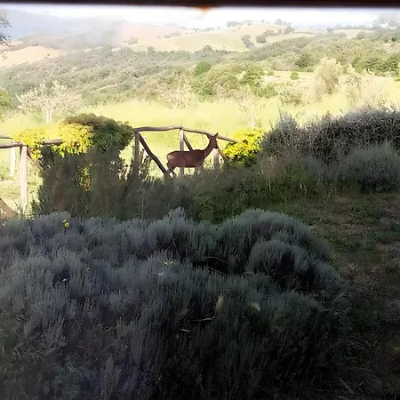 בית נופש Casale Poggio Rocco מנצ'יאנו